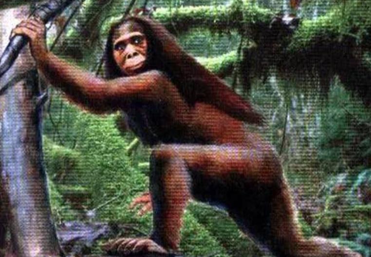 澶у叴瀹夊箔閲庝汉涔嬭皽鎻,澶у叴瀹夊箔娲绘崏閲庝汉涔嬭皽