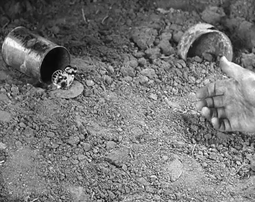 *播禁**了26年的经典，网飞大胆翻拍