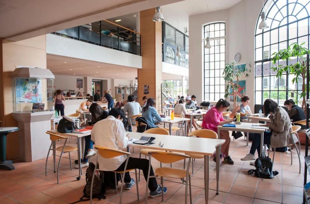 法语联盟学校,法语联盟学法语