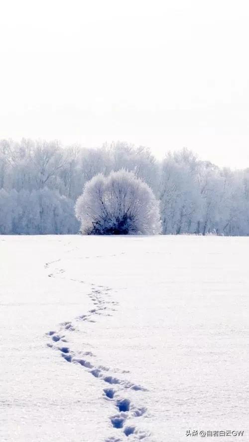 原创迷人的夜,原创冬季恋歌