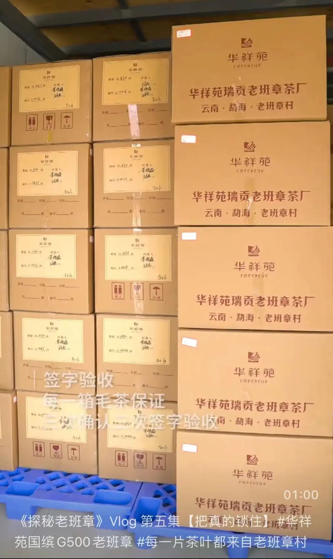 老班章春茶开始了吗,老班章当年春茶多少钱一片