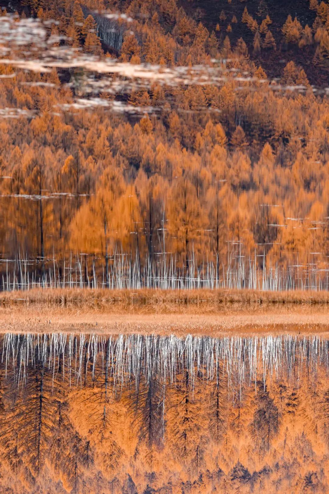 9月旅行地推荐最适合初秋出游,9月旅游最佳地方国内3-5天