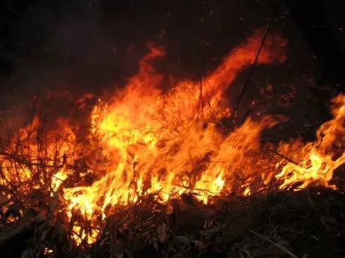 北大荒知青生活叙事诗——北大荒“游击词”100篇