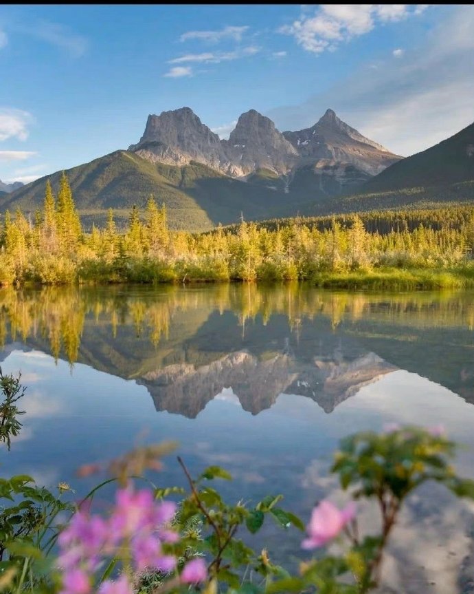 从哪可以看出一个人的城府,一眼就看出的城府