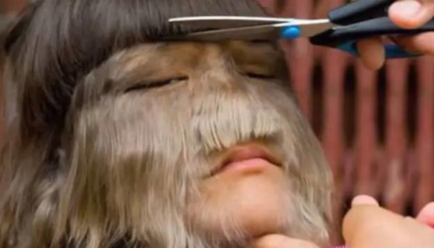 美国女孩艾米丽在中国,美国小女孩艾米丽现在长大了