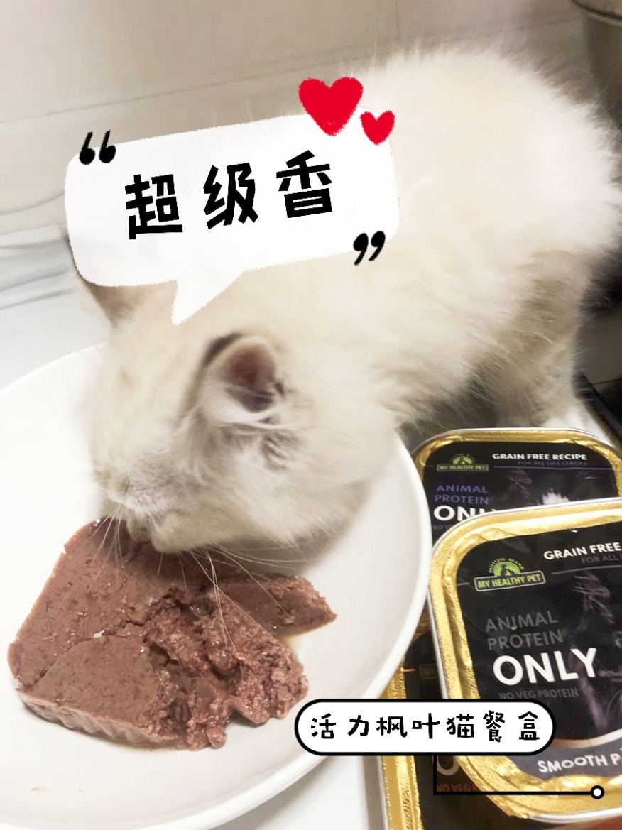 猫咪餐盒活力枫叶,活力枫叶猫粮是什么功能