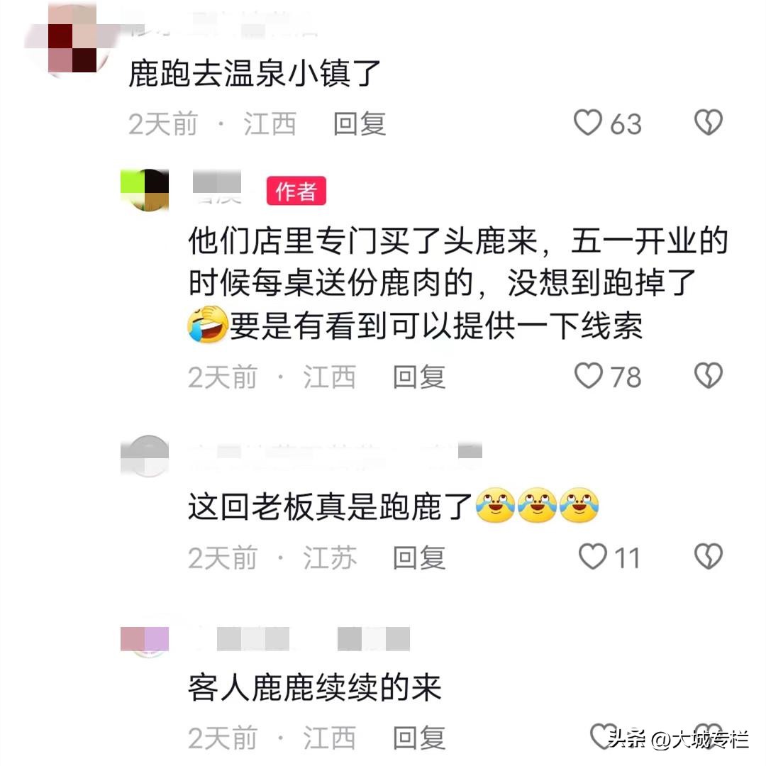 江西一烤肉店买鹿想现杀，准备等51大干一场，结果还没到鹿就跑了