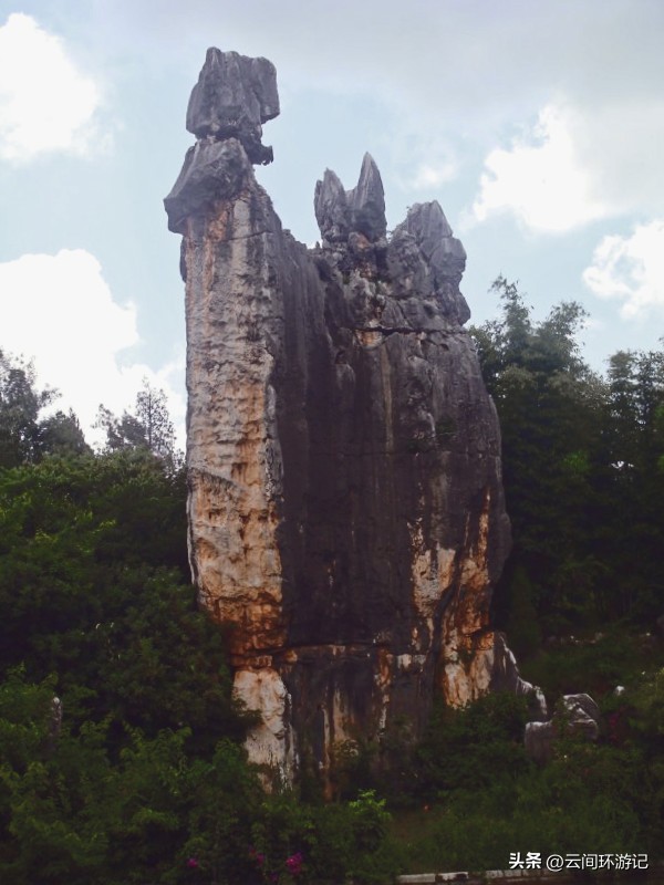 「一根风花雪月的鸡毛」（云南丨昆大丽香）