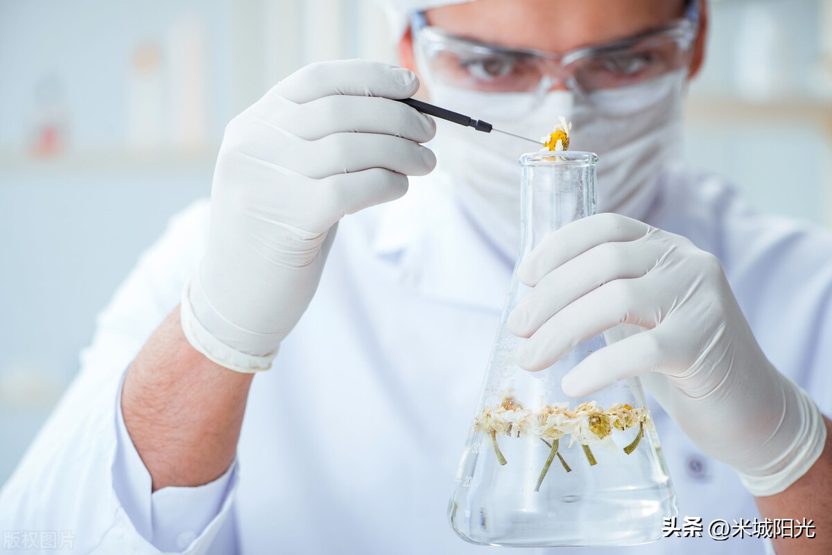 恋爱中男女心理变化表情,恋爱中的5种心理