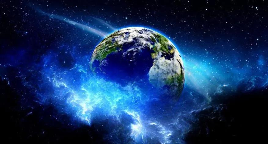 盘点十大难以杀死的动物,被砍了头的鸡还能活多久