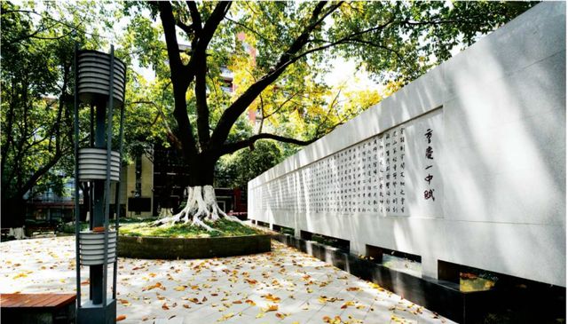 重庆七龙珠学校最新排名,重庆七龙珠学校