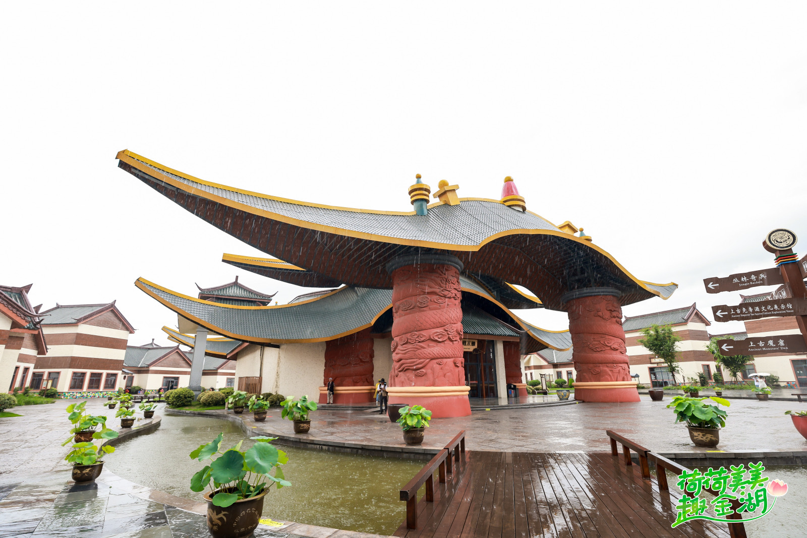 “荷荷美美趣金湖”全媒体达人采风行见证金湖美丽绽放