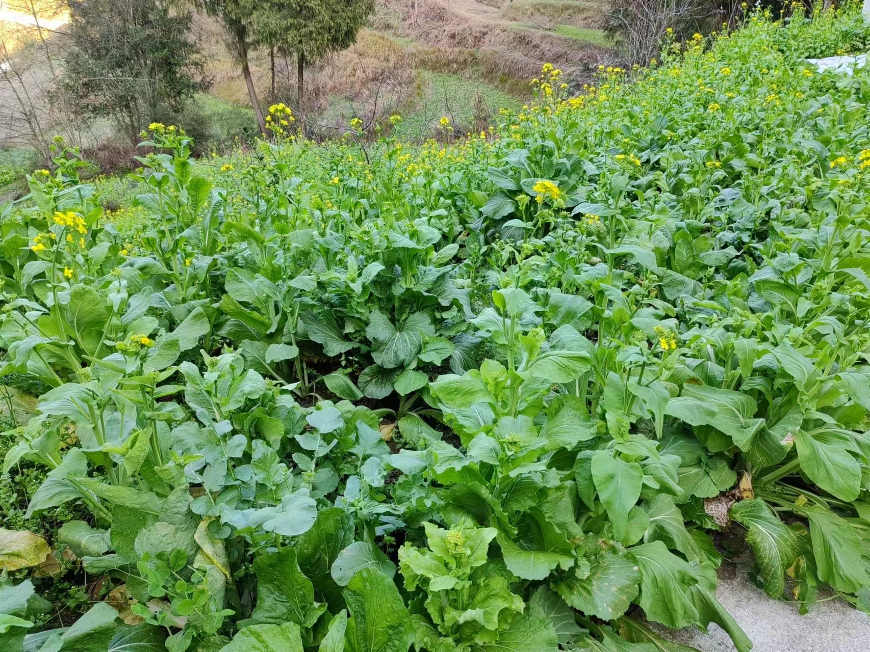 越是在困难的时候越是要坚定信念,越是复杂越需要保持冷静和理性