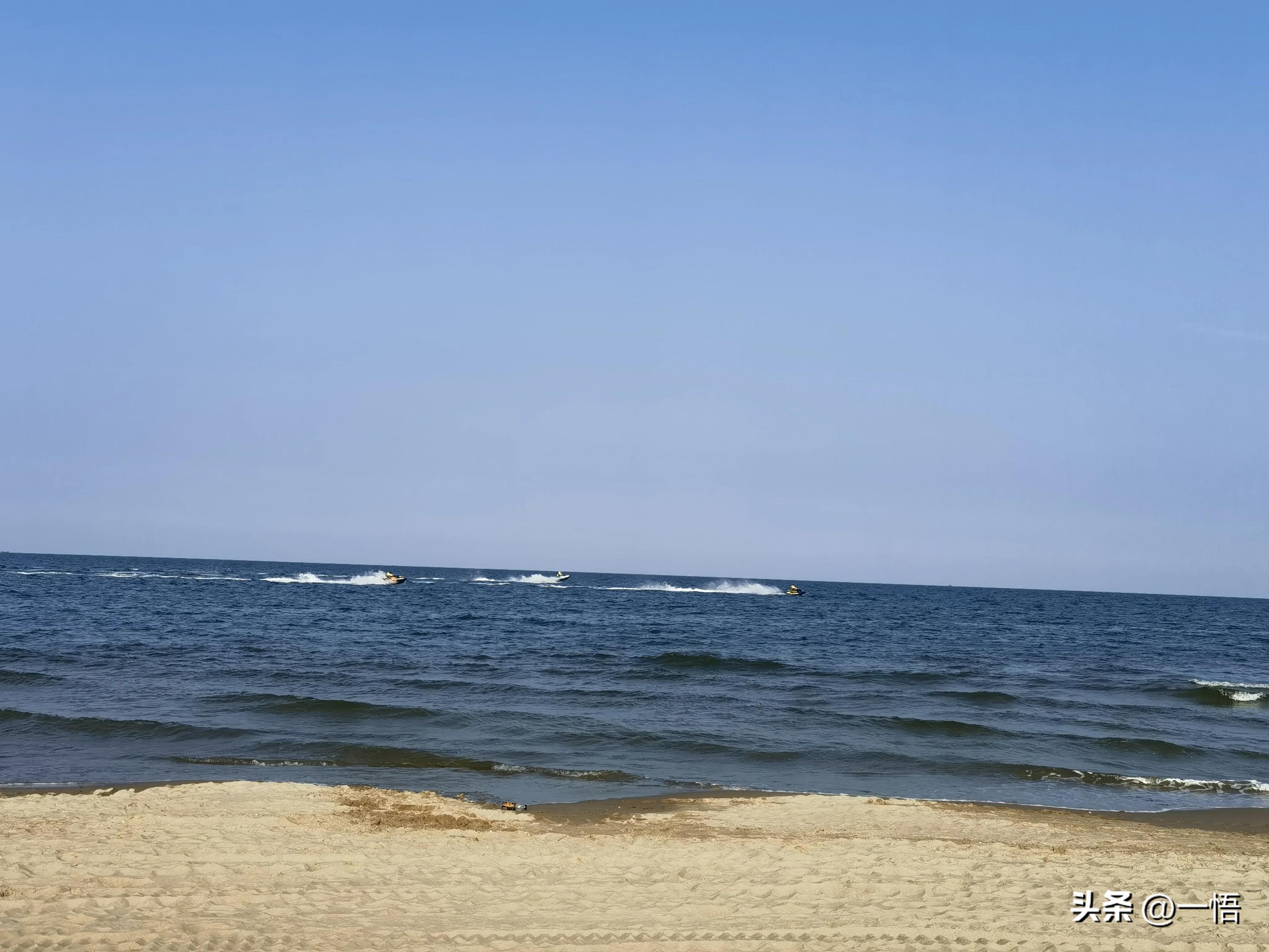 2023上海到秦皇岛承德十日游第四天：看阿那亚的海，逢犬舍的安娜