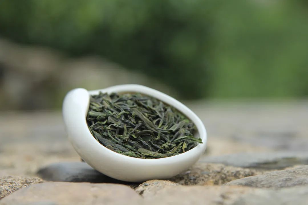 150亩农场年入3000万,返乡创业的茶农