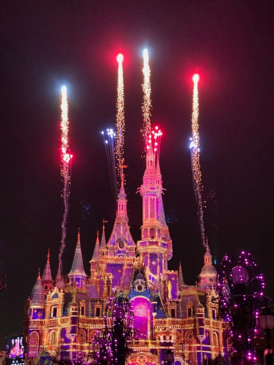 迪士尼旅游跟团一日游攻略,上海旅游团去迪士尼攻略