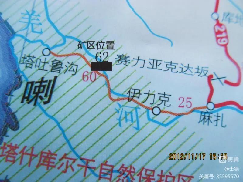 最高的马蜂窝,神奇的马蜂窝