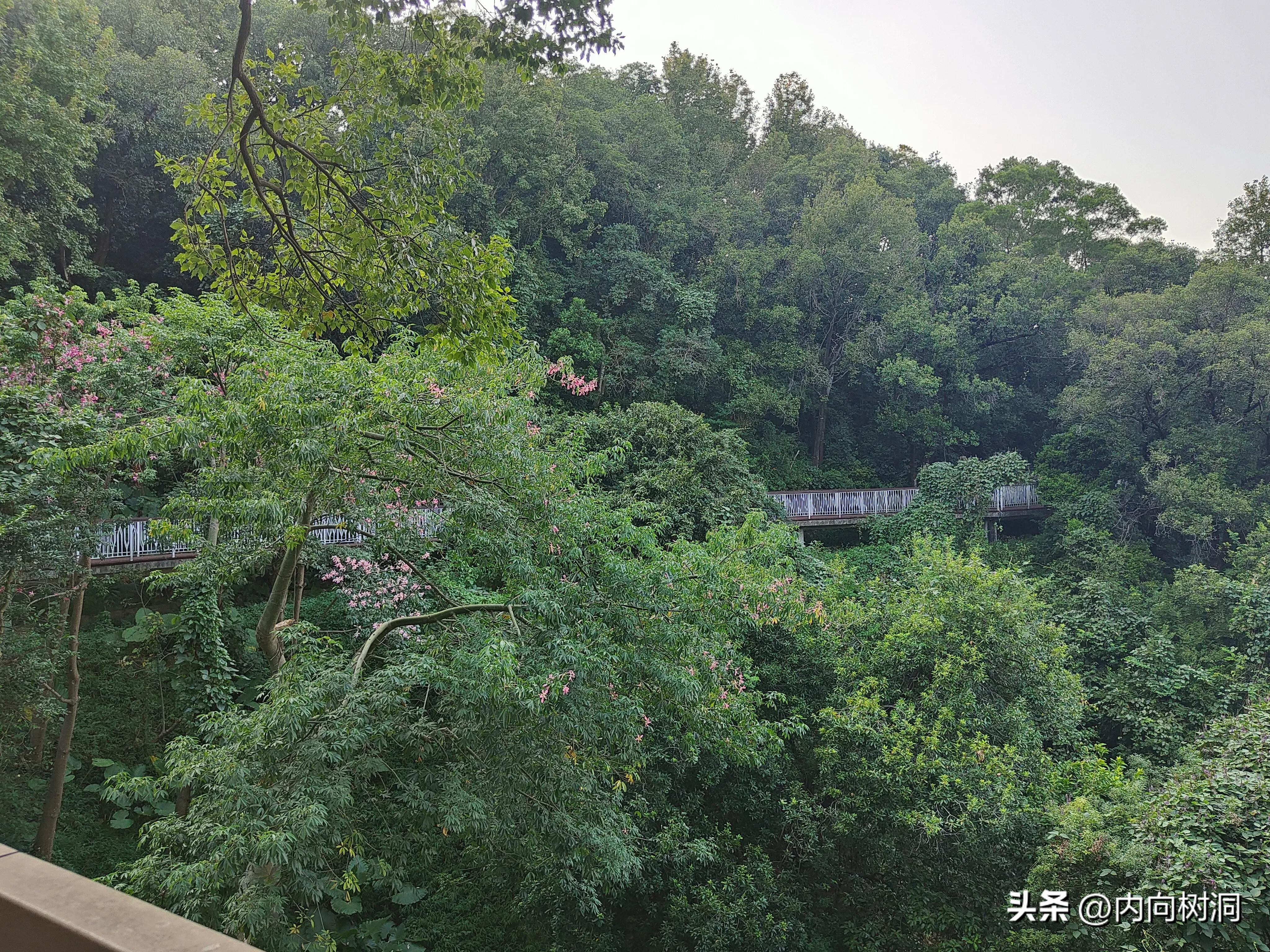 淘金山求水山徒步线路,求水山淘金山绿道在哪里