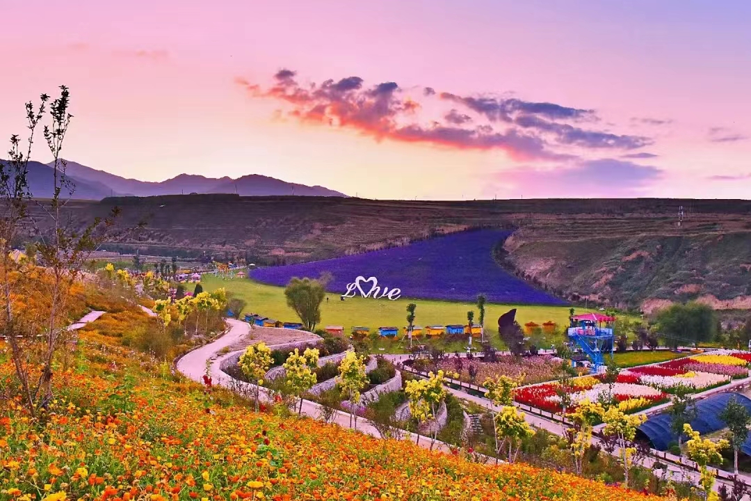 常觅春归不知处花田此地得逢君：栖云田园小镇·花间集