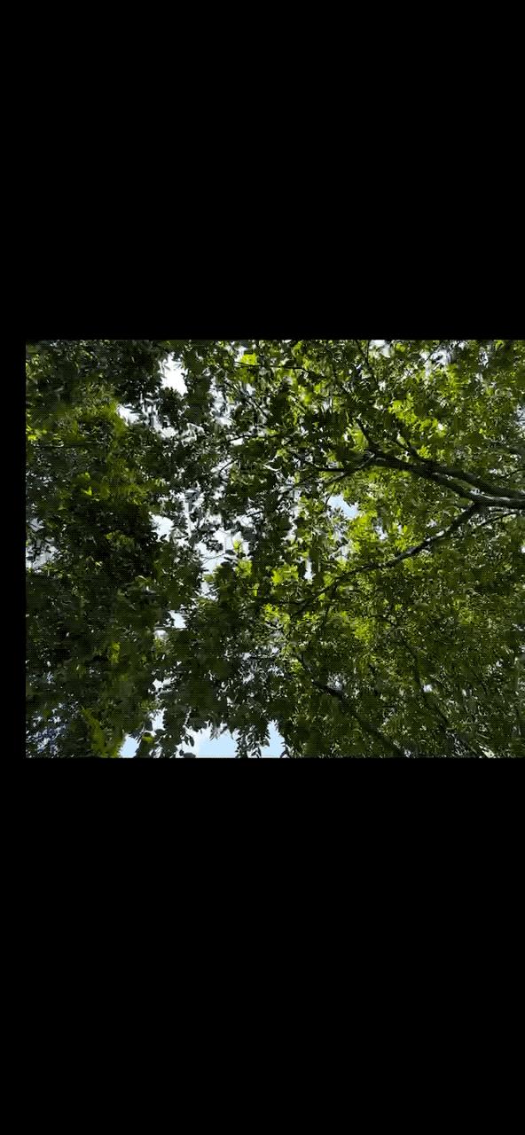 iphone14pro好用吗真实感受,iphone14pro真实体验感受