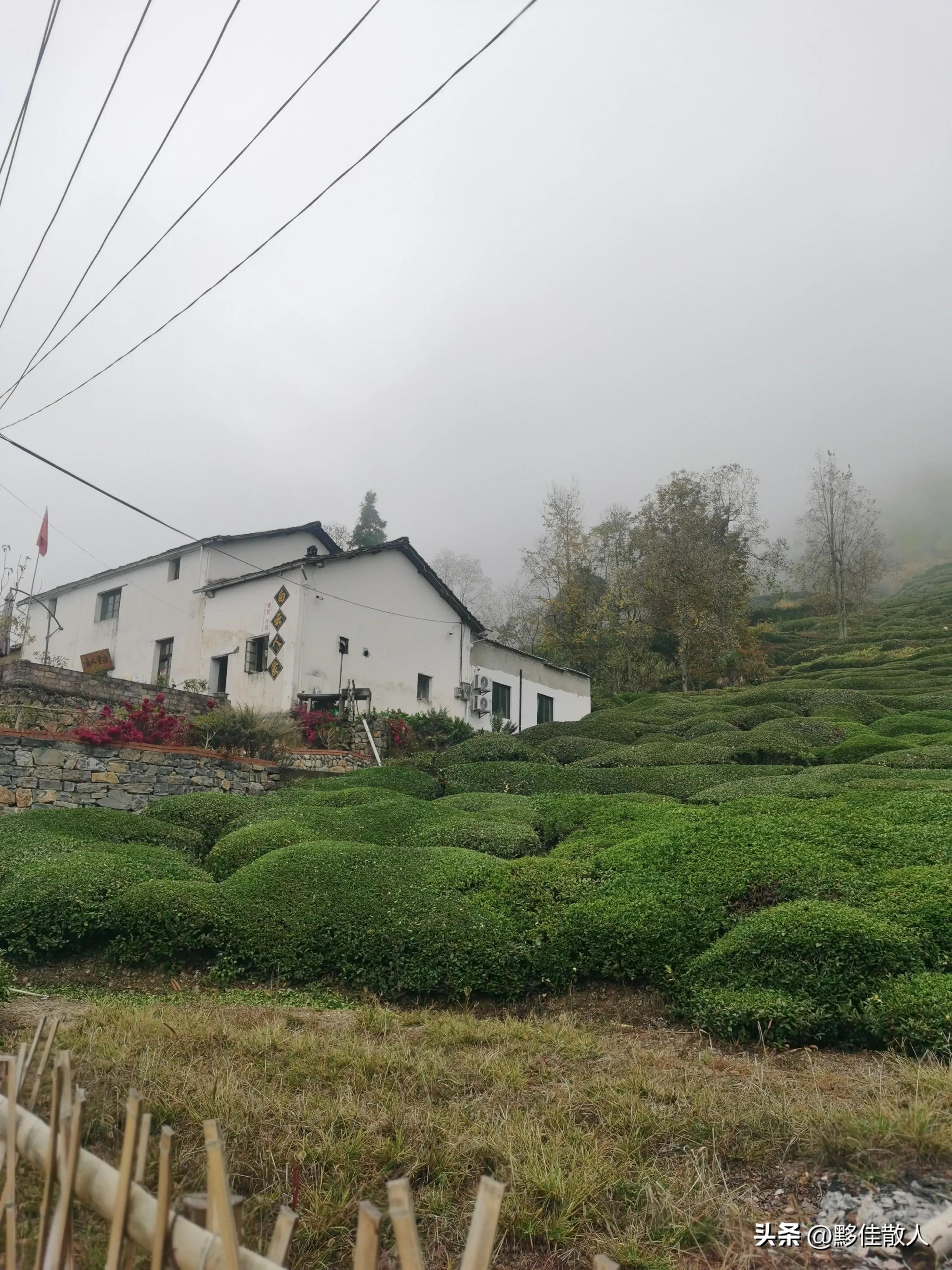 回乡偶书原文,回乡遇见儿时玩伴