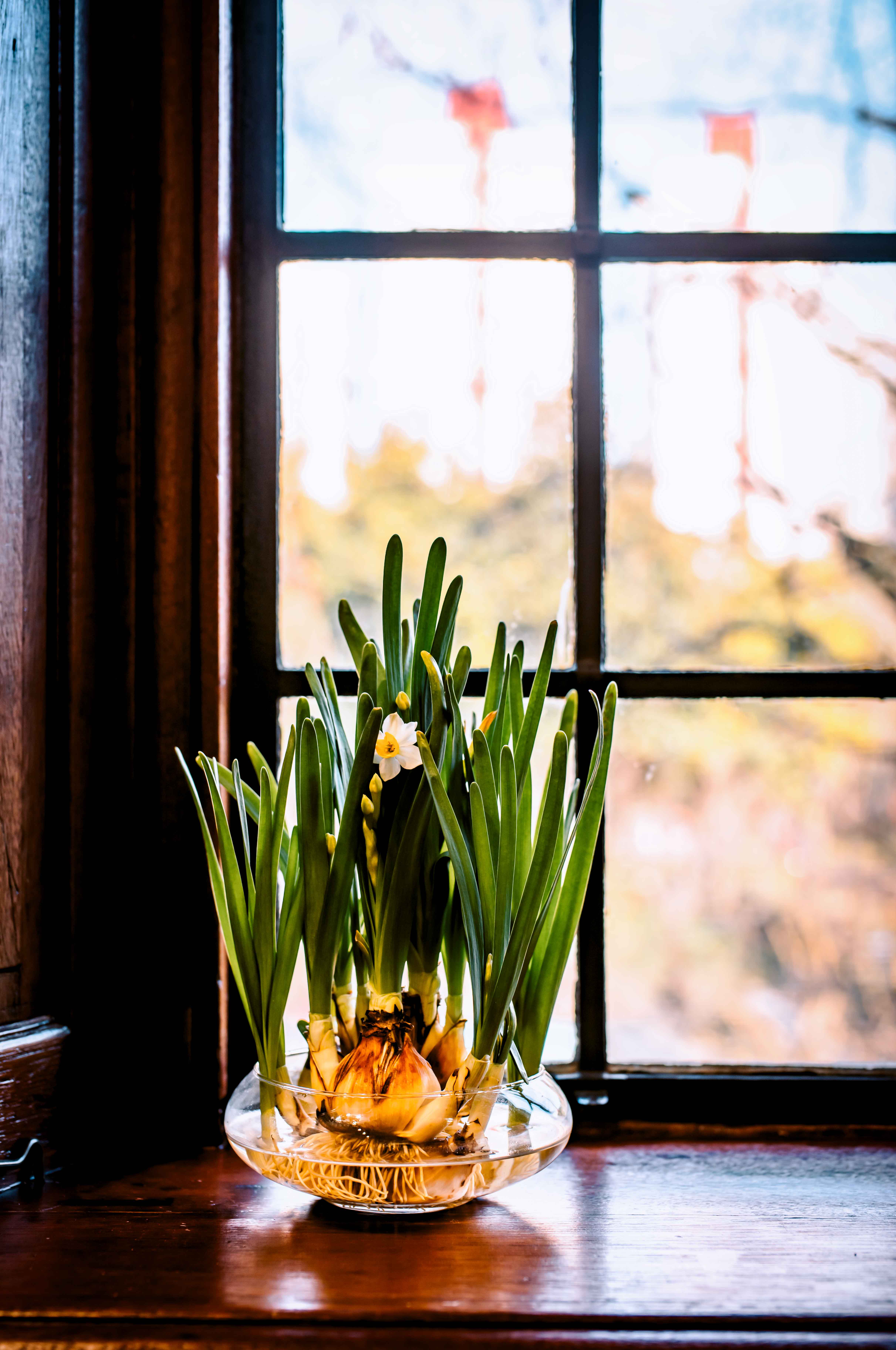 百代小楼,魔都闲逛