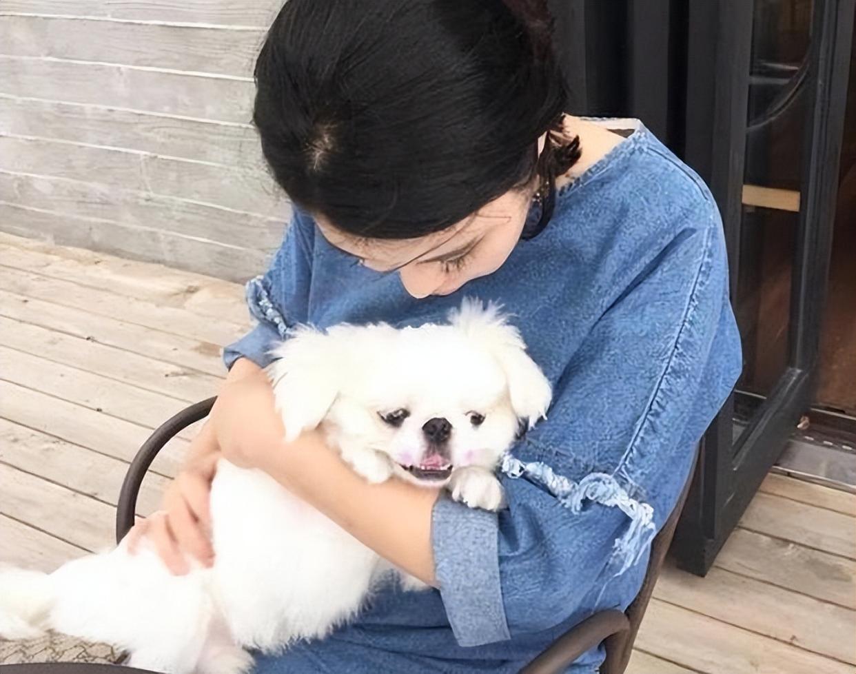 养狗后你可能会发现这些神奇现象,养狗后我发现了这15个神奇现象