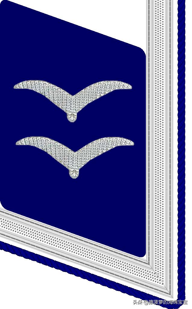 二战德国国防军医疗兵军衔标志