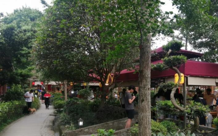 三德子赵亮柴火鸡哪一家店最好,三德子赵亮柴火鸡怎么买