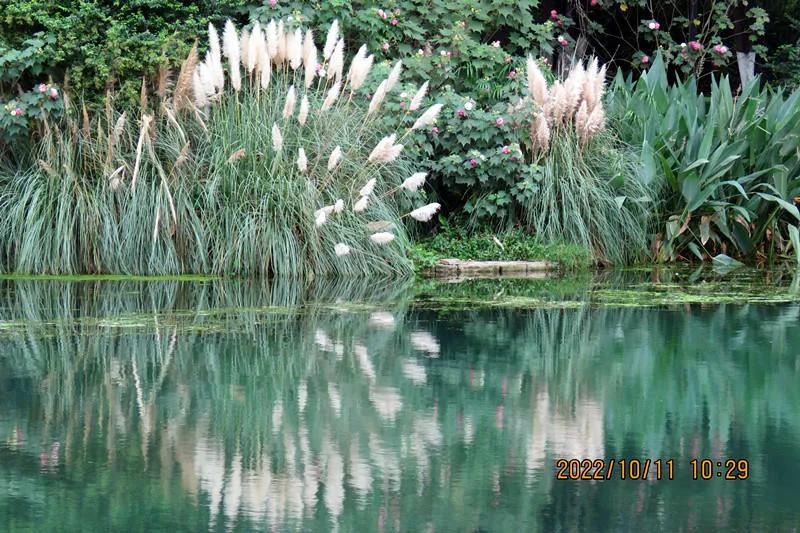 花溪小公园,美丽的花溪公园