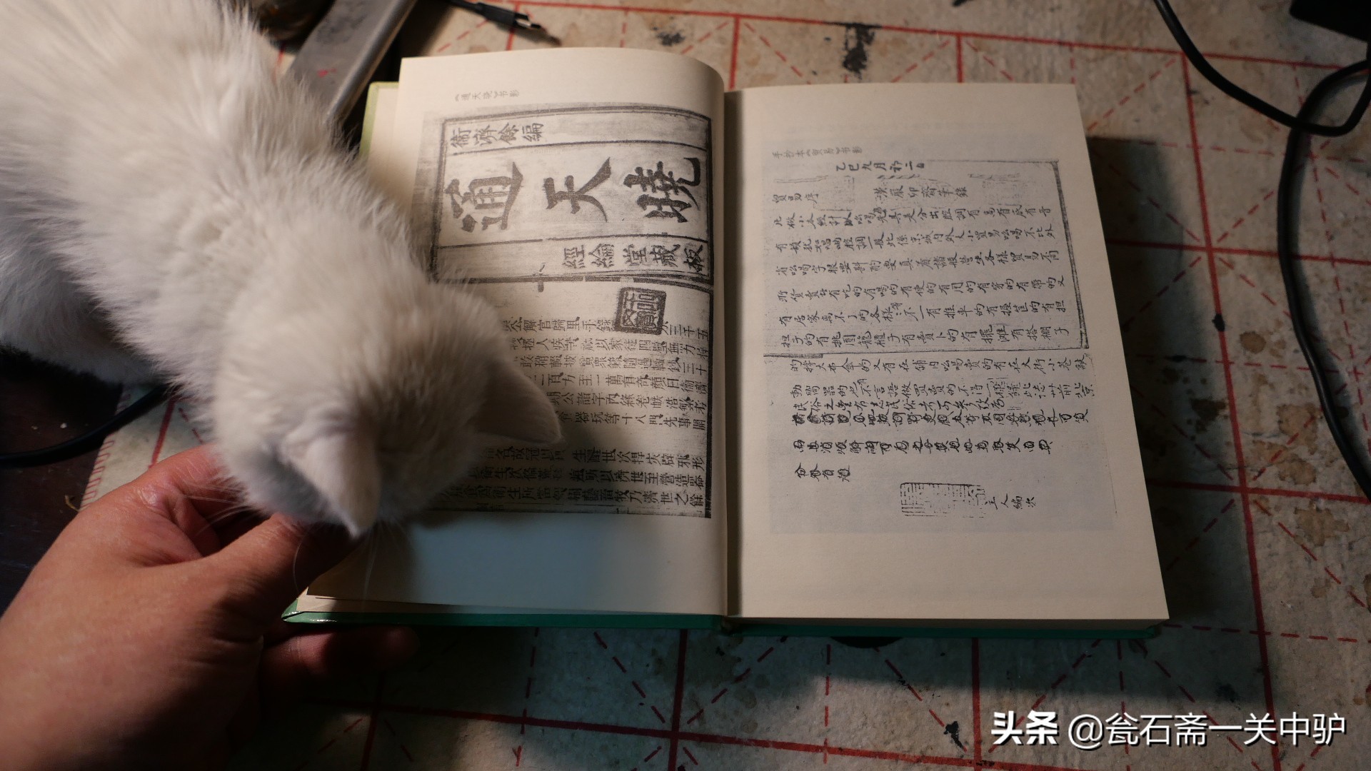 民俗学基本知识,中国民俗文化学习通答案