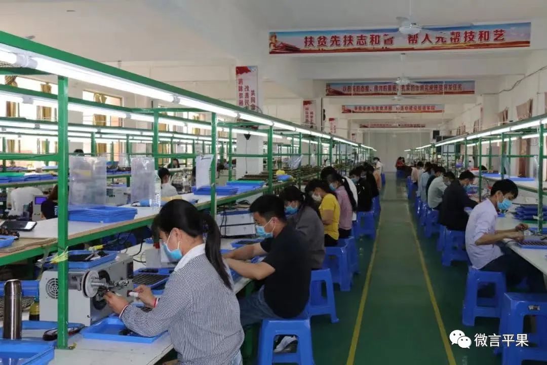 广西平果县产业,广西平果市产业