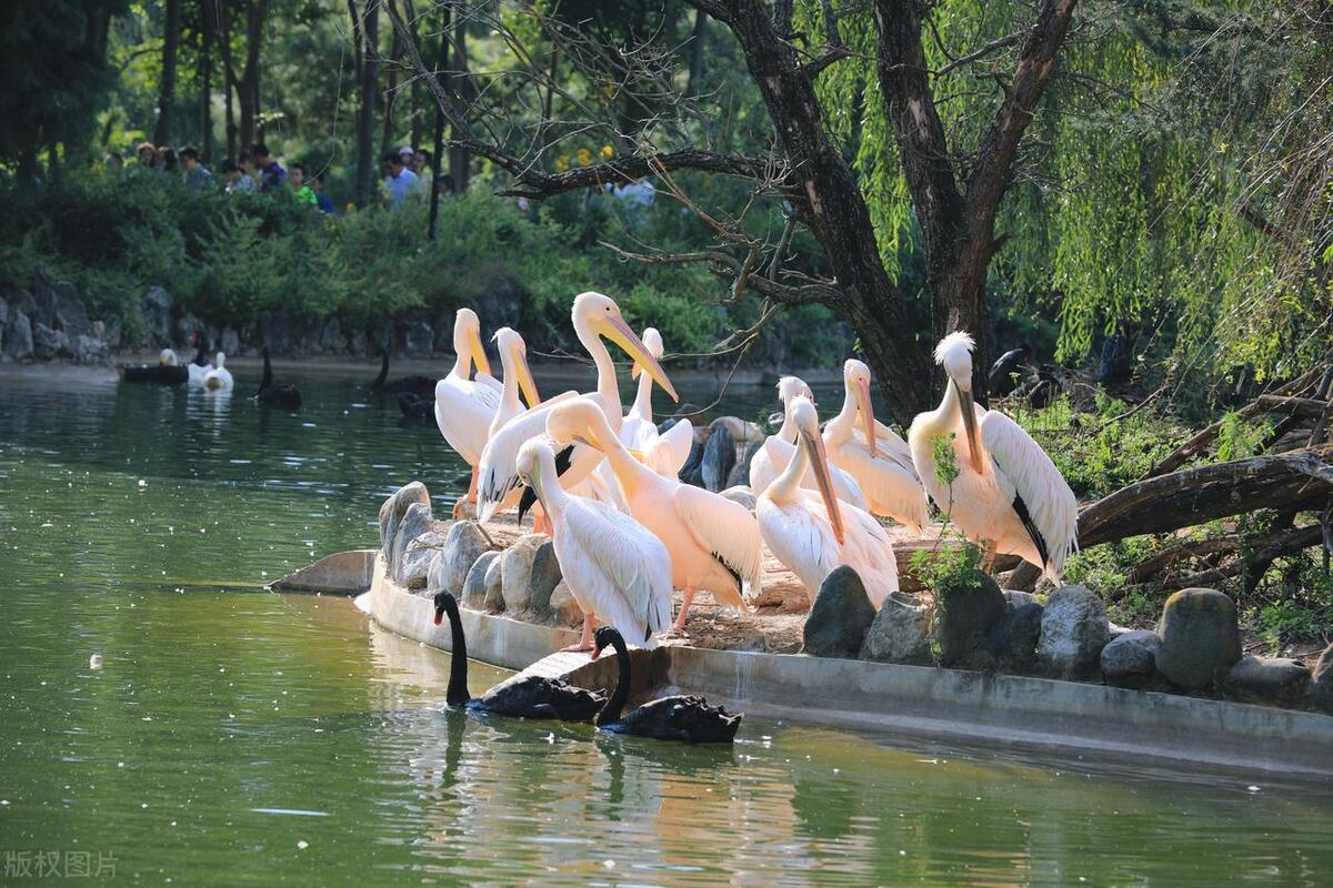 昆明寻甸县十大旅游景点,昆明十大最值得去的景点