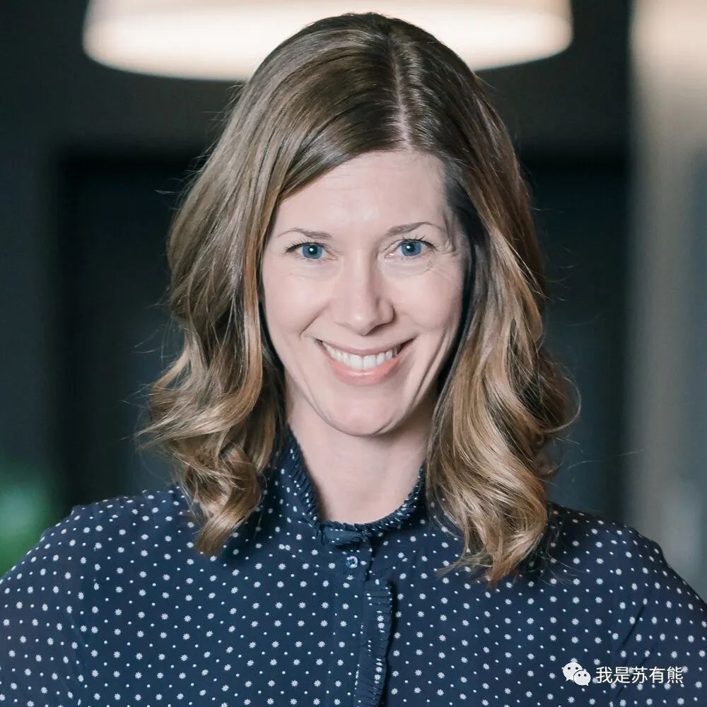 可以做数据可视化的网站有哪些,4个有用的网站数据可视化