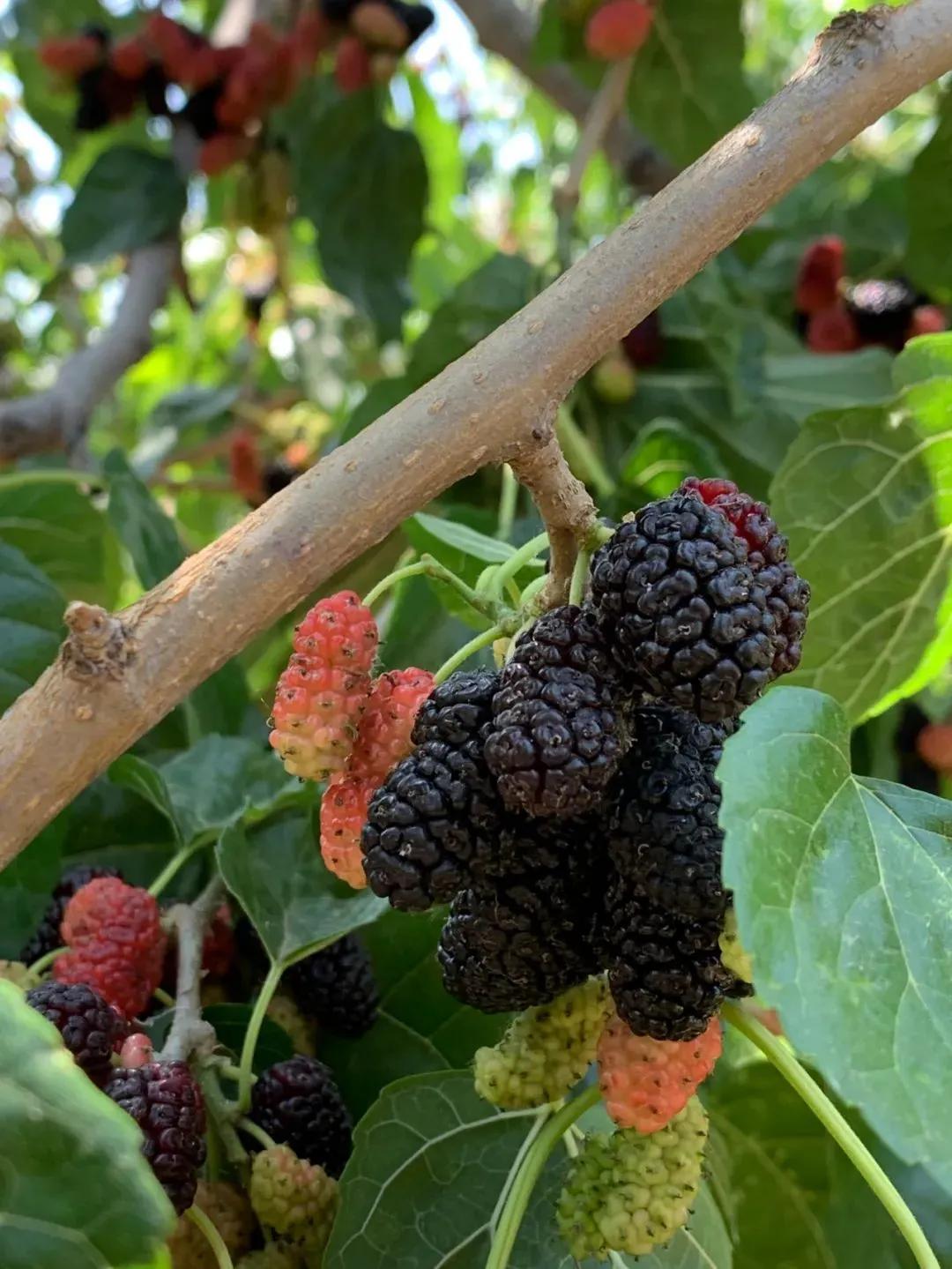 五一秦皇岛小众旅游,秦皇岛一日游最值得去的地方