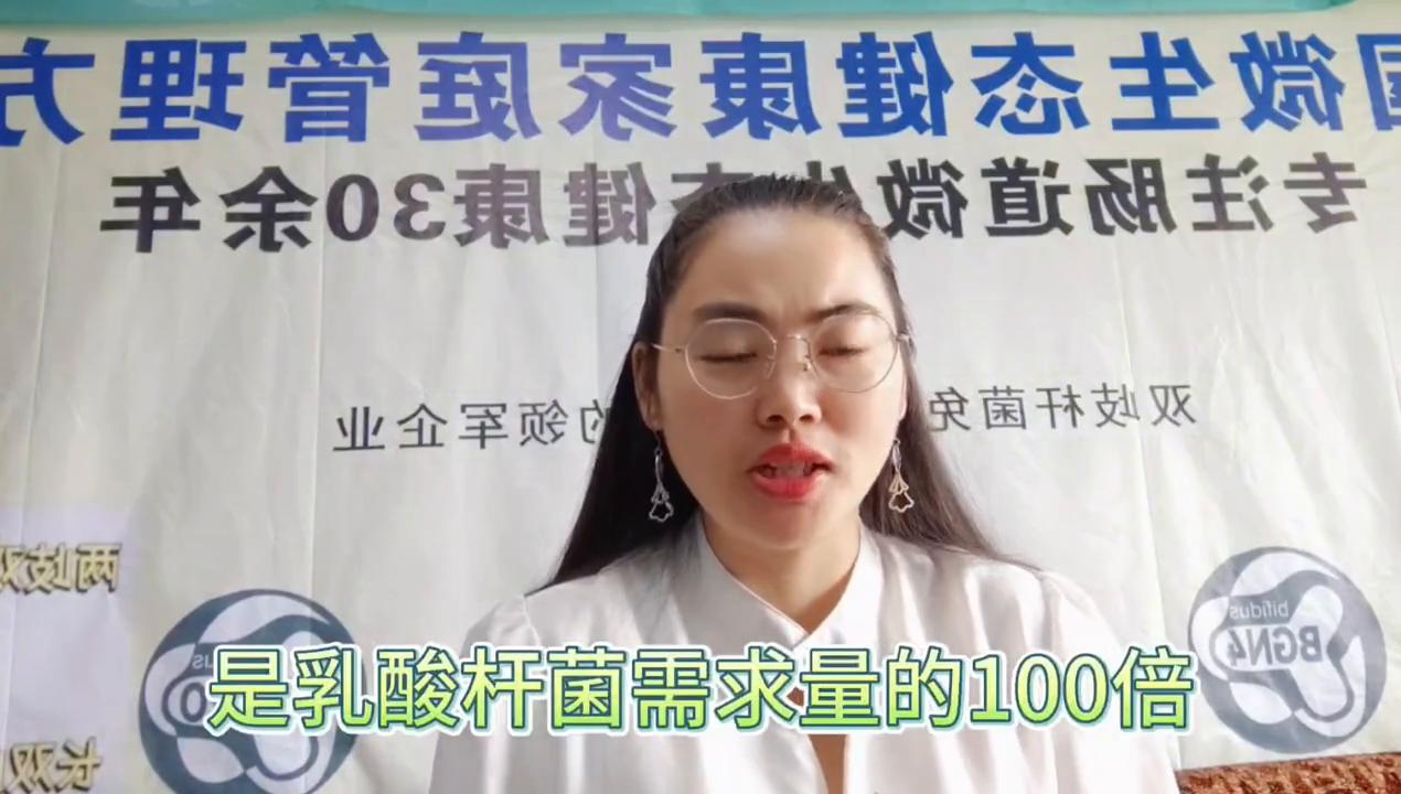 乳酸杆菌与双歧杆菌的区别,你知道肠道的功能吗