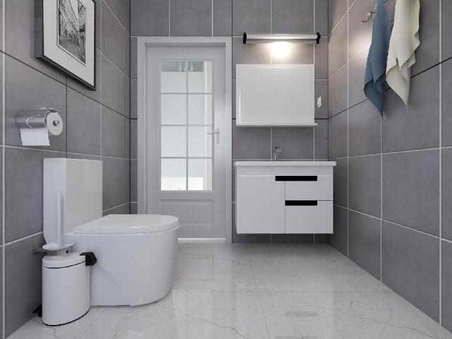 主卧带暗卫怎么设计,客卧暗卫淋浴要保留吗