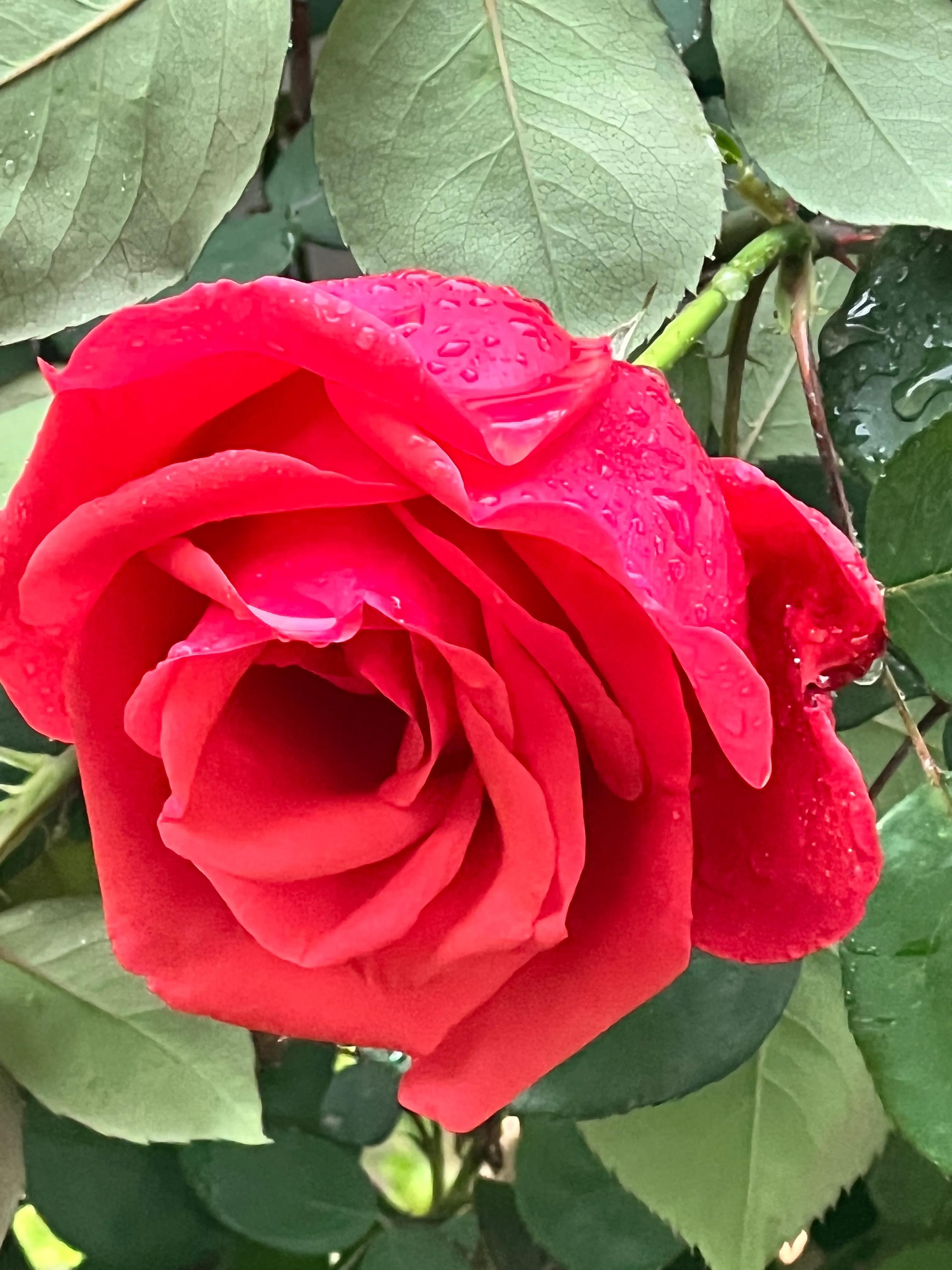 慧眼识得真金,人身上隐藏着神秘的“宝藏”,只是没有人去识别