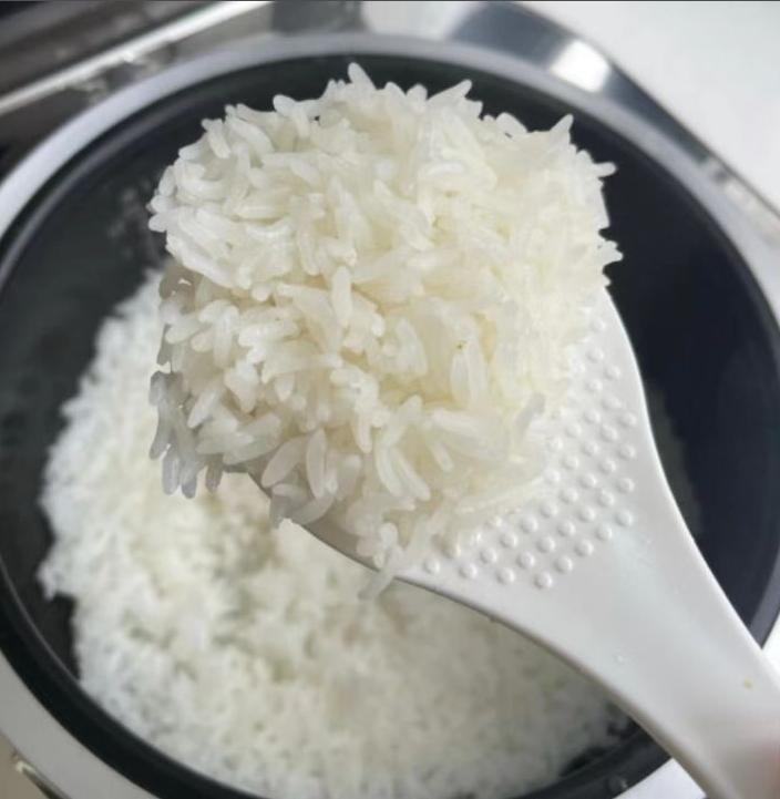 电饭煲贵和便宜有什么区别,电饭煲买贵的好还是便宜的好