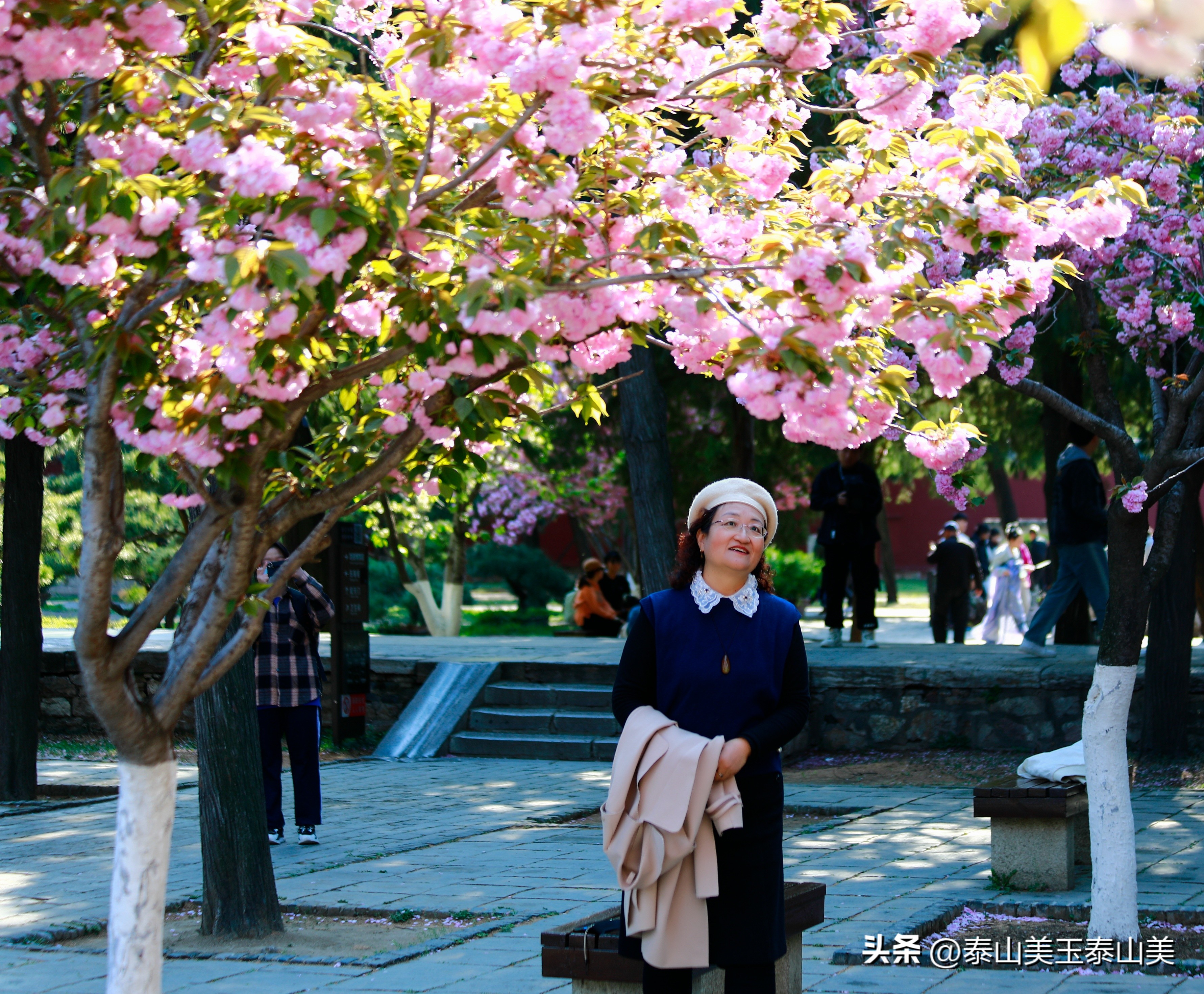 山亭寺沟樱花,定山溪樱花