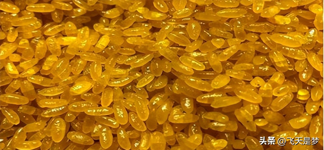 人工合成黄金米,黄金米是什么合成的能吃吗