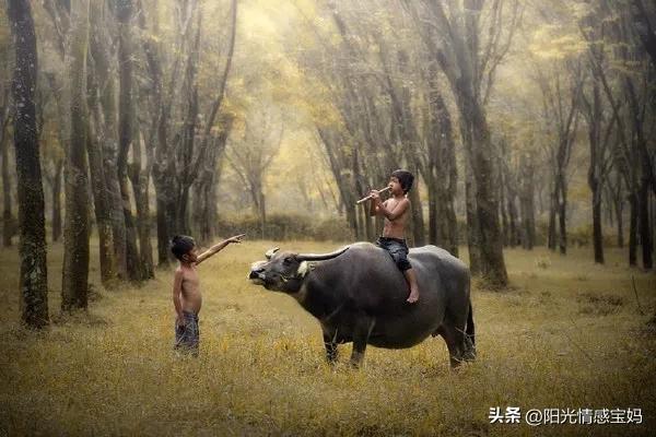 心情灰暗的微信头像,彻底伤心绝望的微信头像