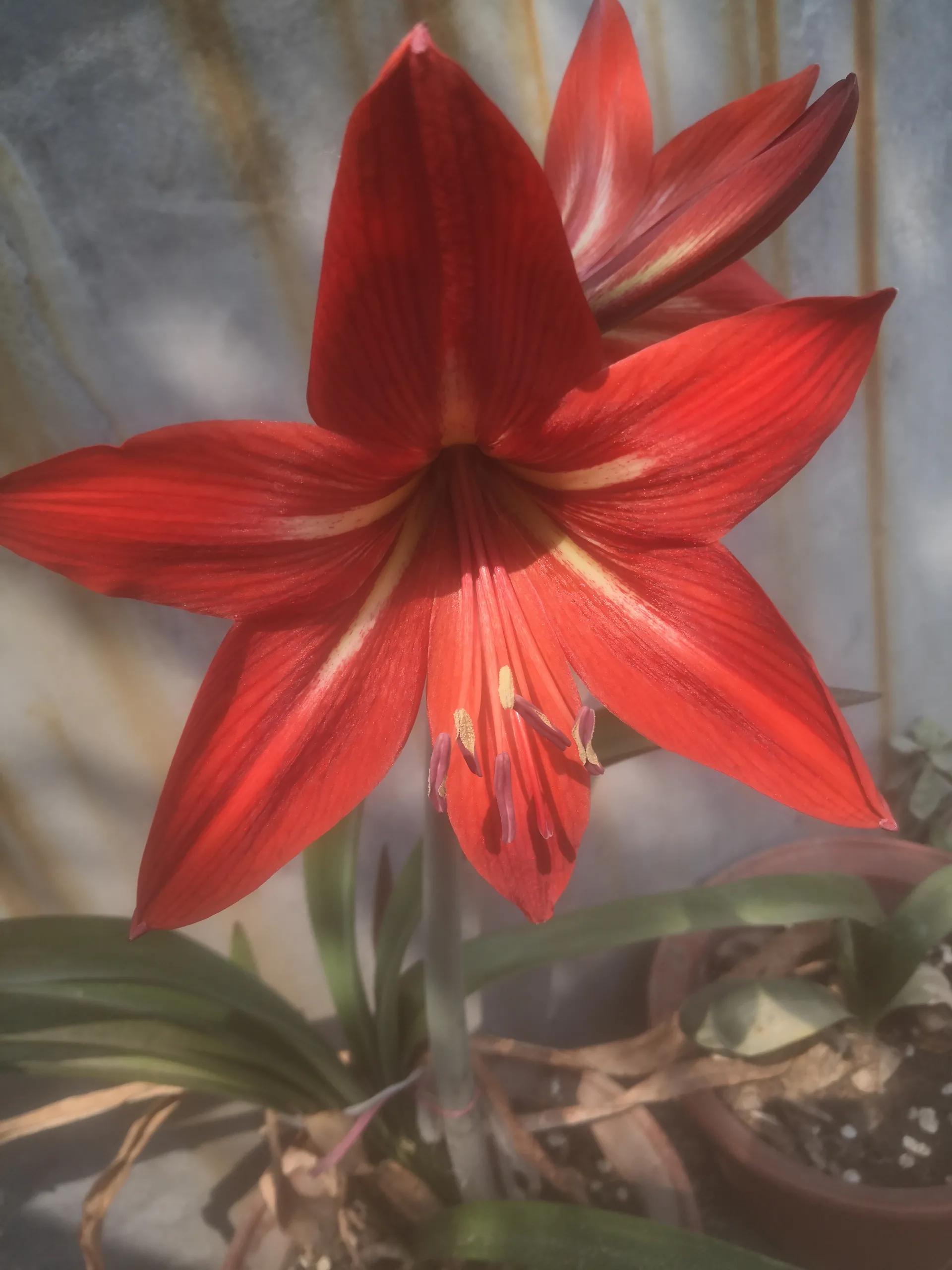 要男人有什么用经典语录,我要男人有何用完整版