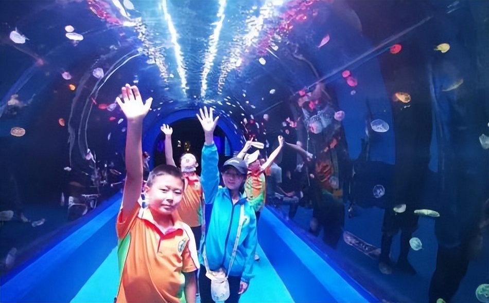 南京比较好的小学学校有哪些,南京最好的小学学校