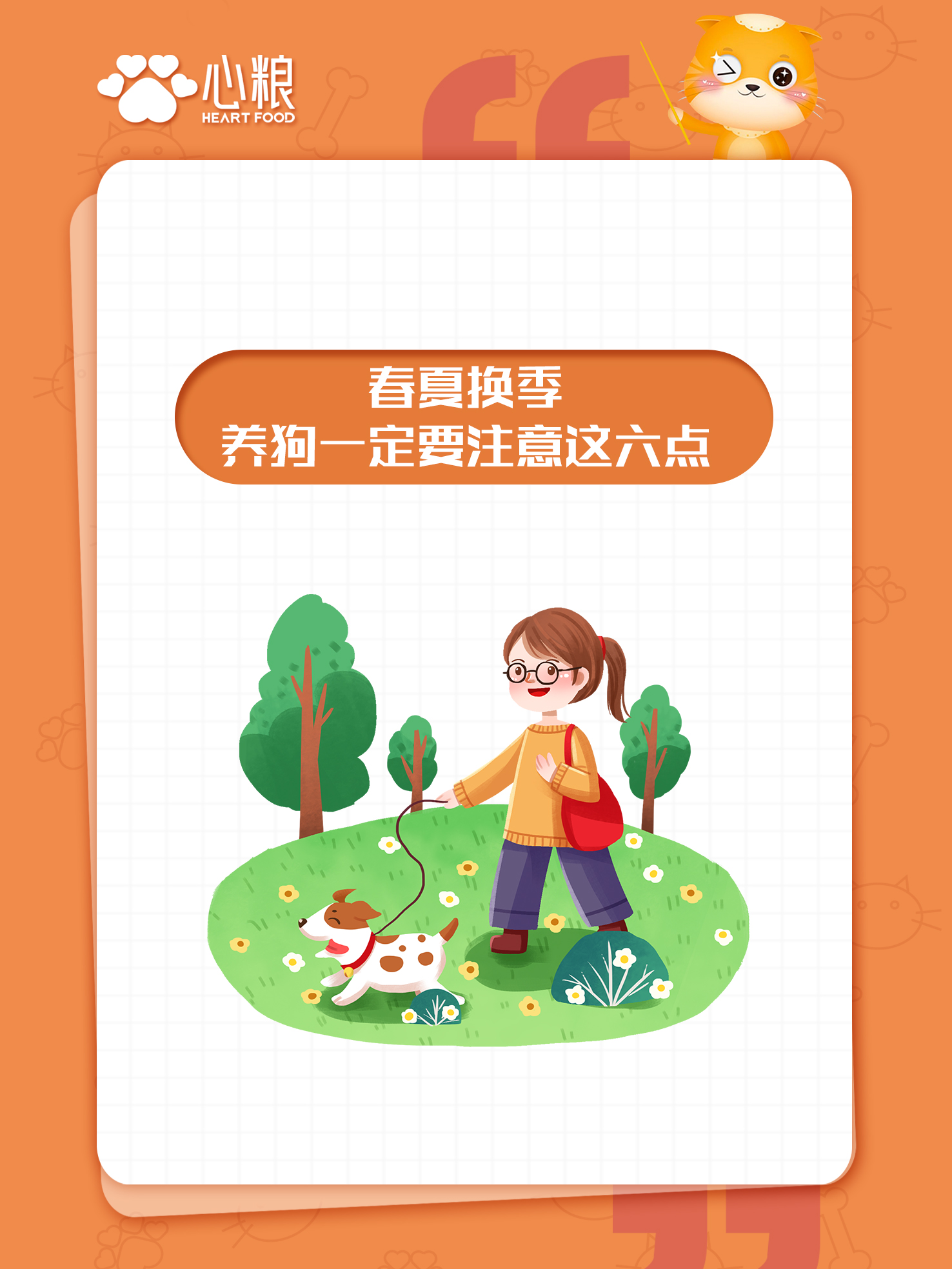 新手养狗选什么狗粮比较好,夏天喂什么给狗狗