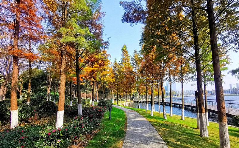 12月南京有哪些免费景点,南京市民免费旅游景点