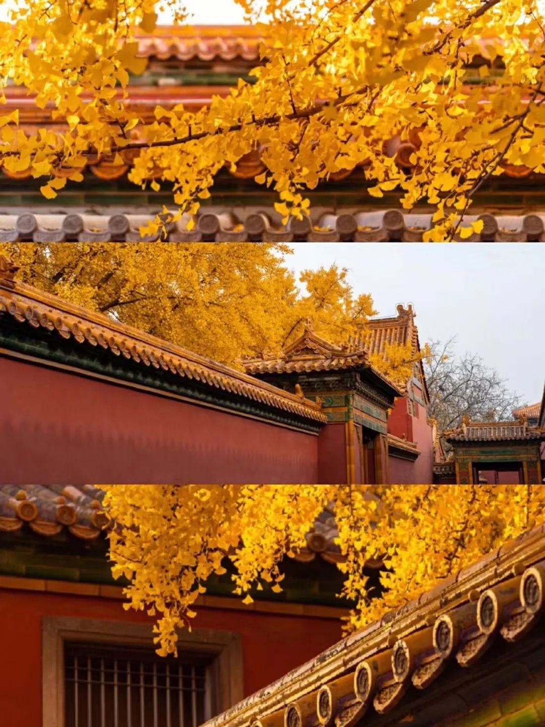 一入秋北京就变成了北平原文,一入秋北京就成了北平是谁说的