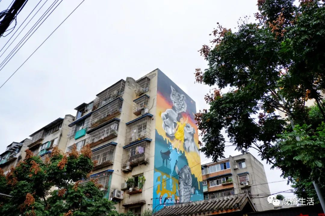 12条时髦老街，长满晒太阳的成都人