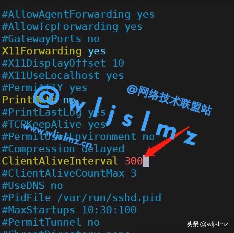 害怕LinuxSSH不安全？这几个小妙招安排上！