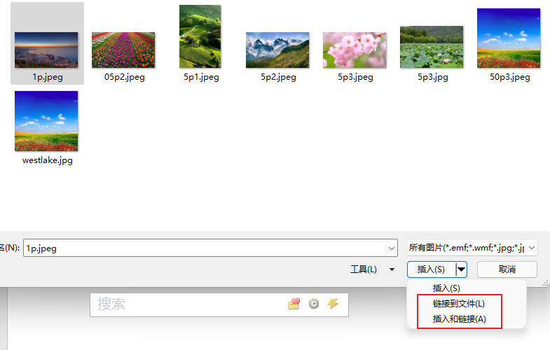 如何在powerpoint中添加图片,在powerpoint中可以插入哪些文件